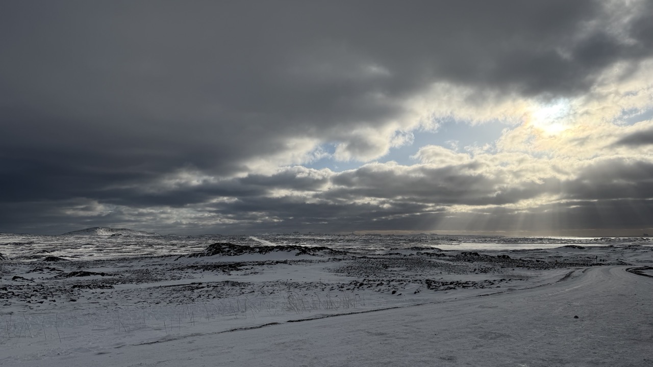 Nature photo 1