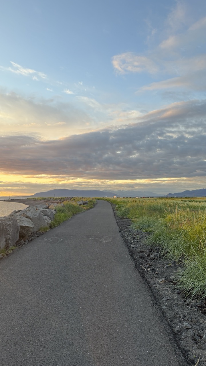 Nature photo 6