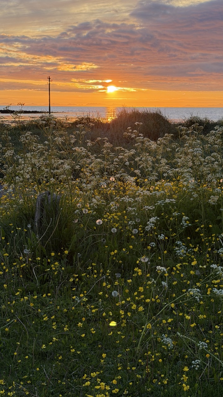 Nature photo 2