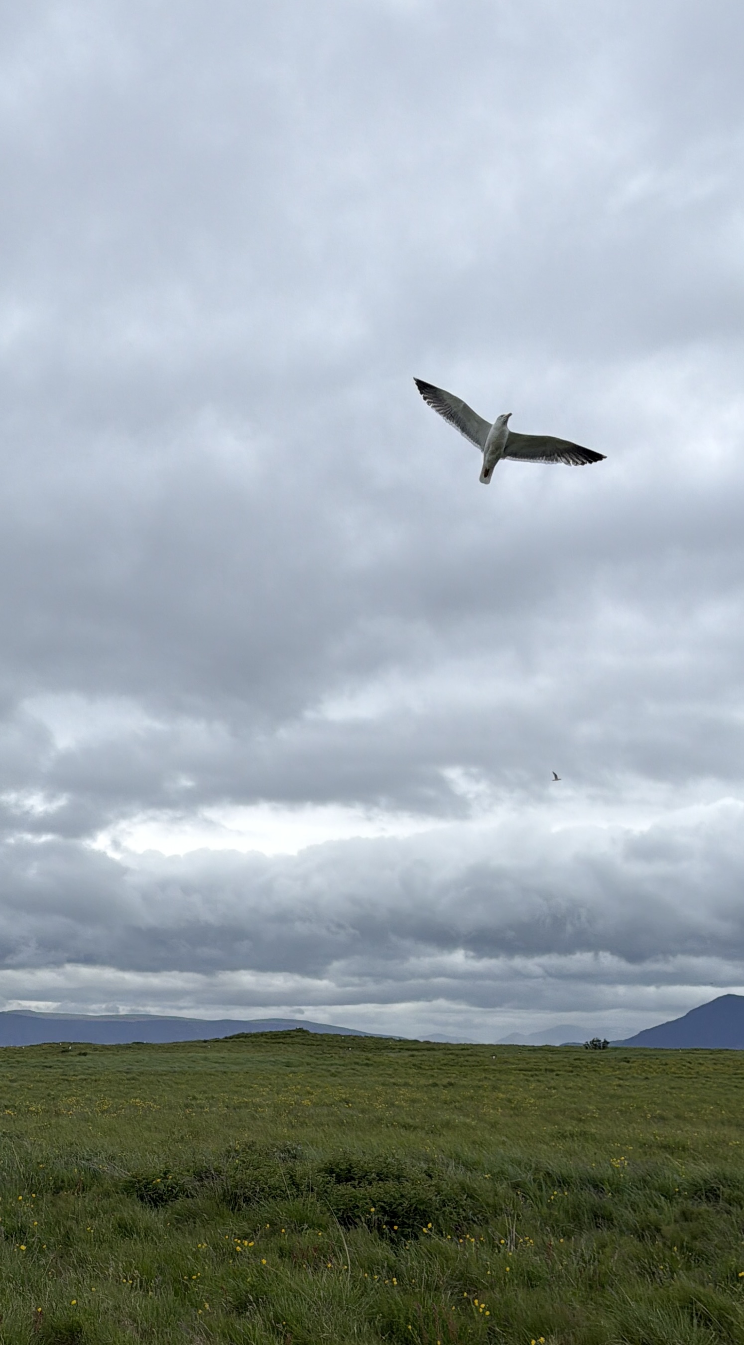 Nature photo 11
