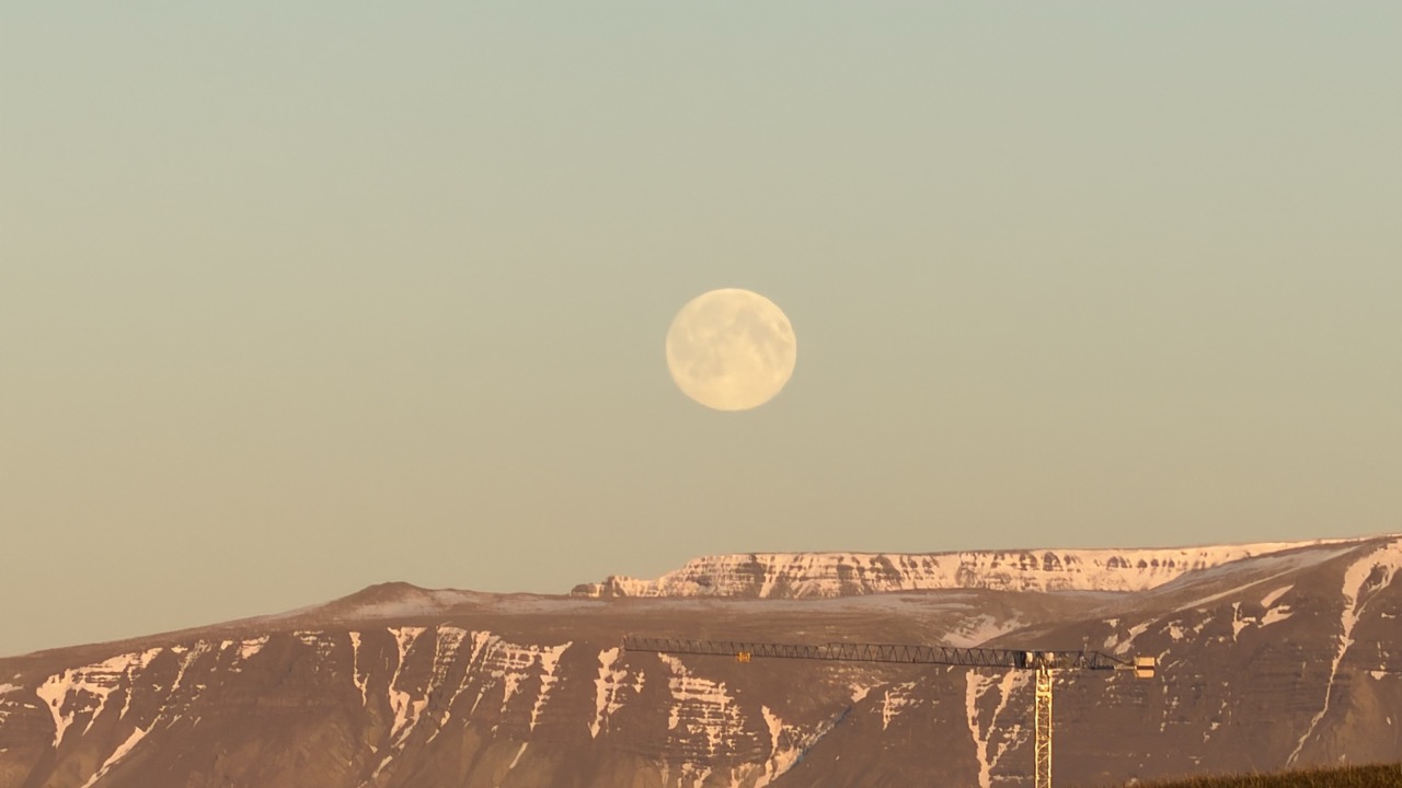 Nature photo 13