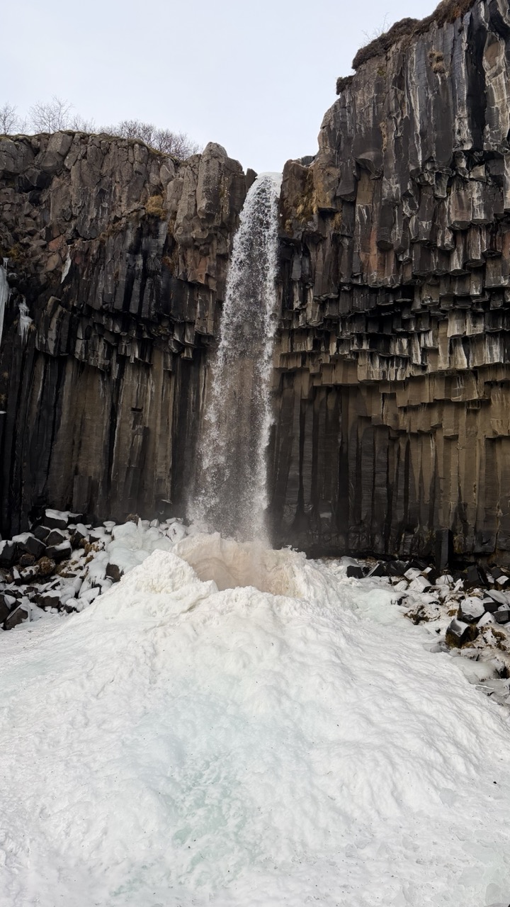 Nature photo 38