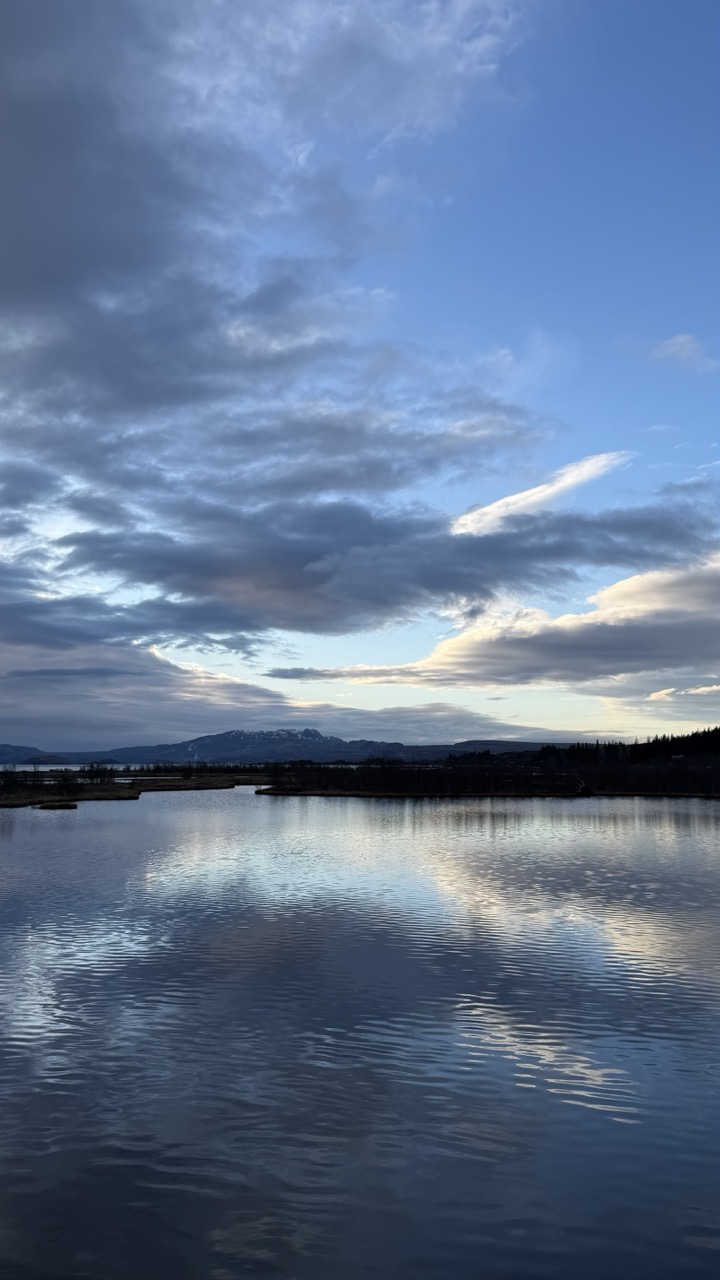 Nature photo 41